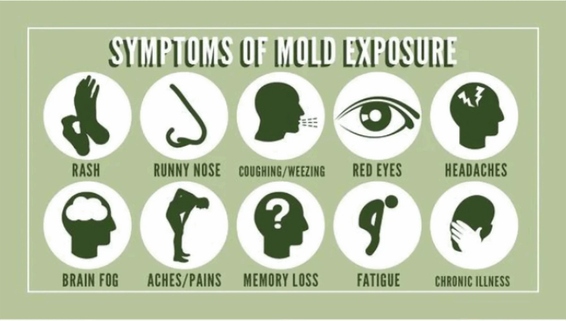 #1 - Recognizing the Invisible Enemy: Early Signs of Mold & Mycotoxin Exposure