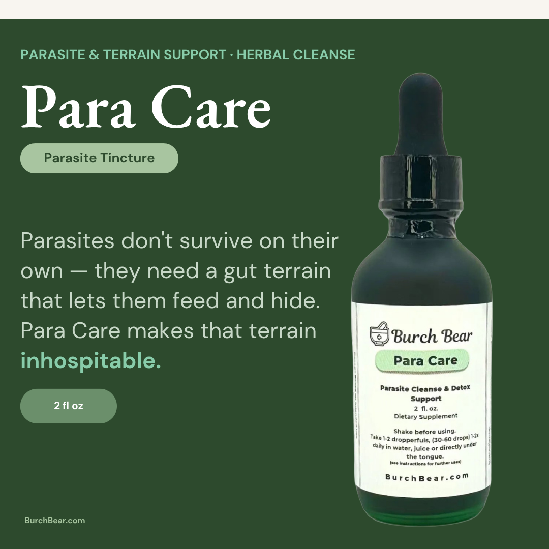 Detox Tinctures Bundle